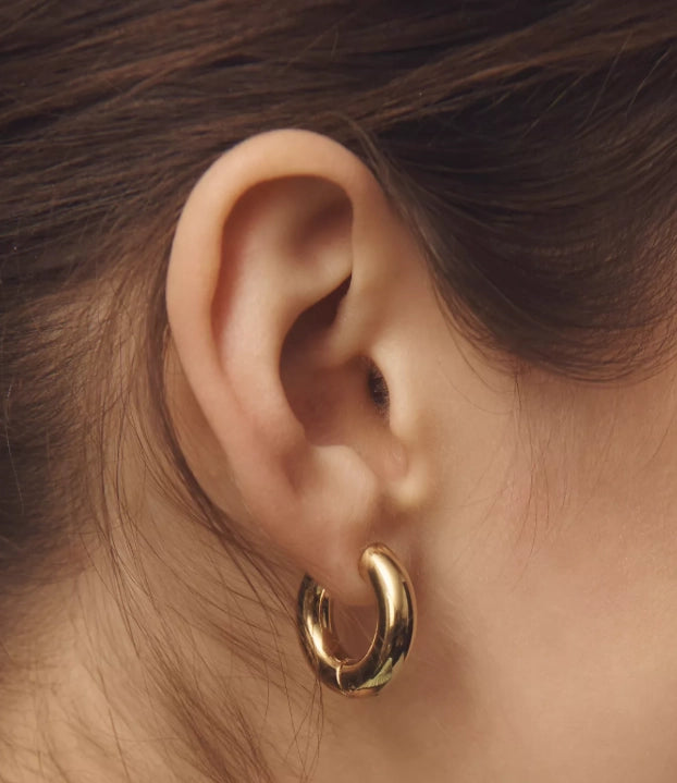 Puffy Hinge Hoop Earrings